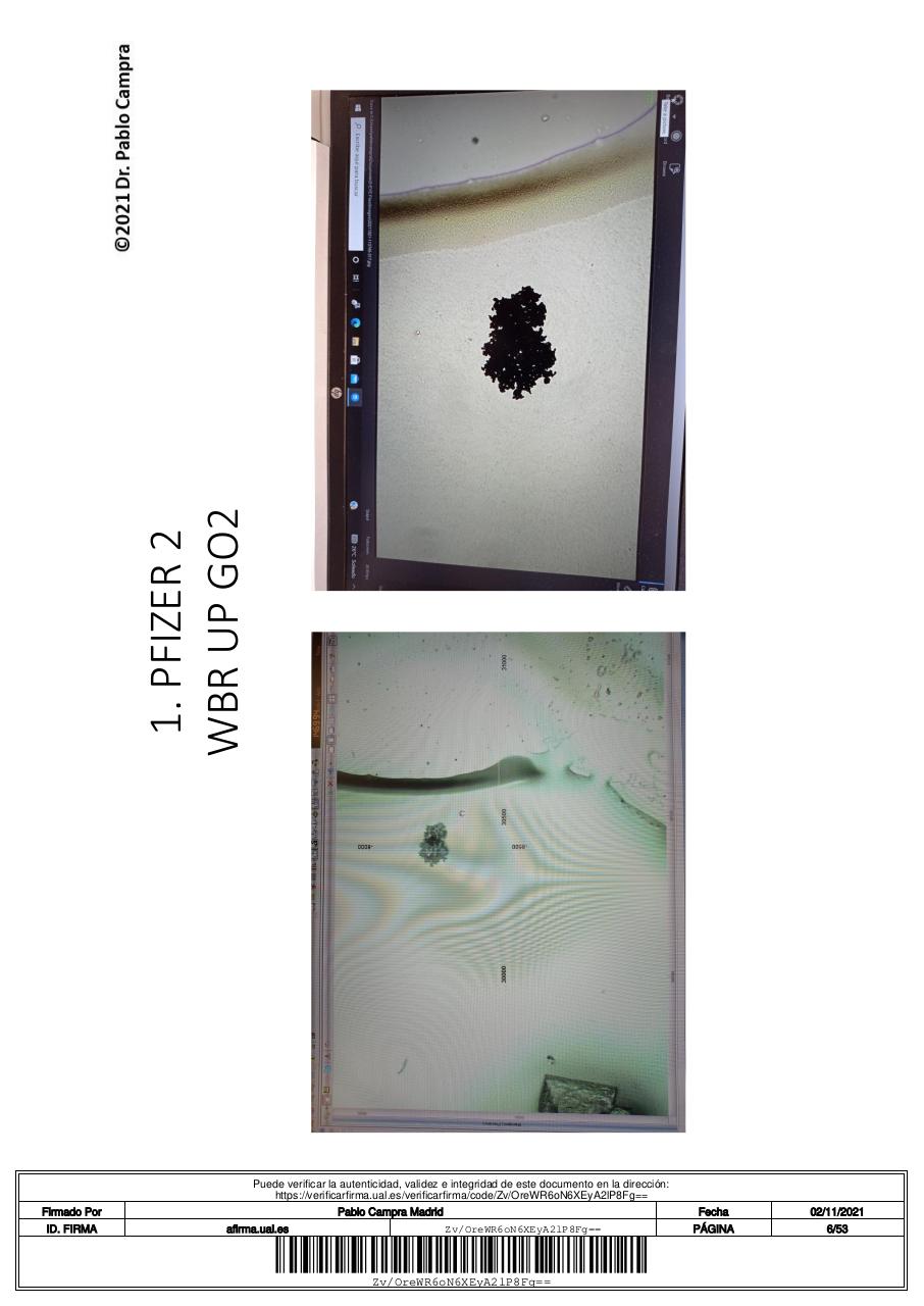 Vista previa del archivo PDF 1informetcnicofinaldeteccindegrafenoenvacunascovid.pdf