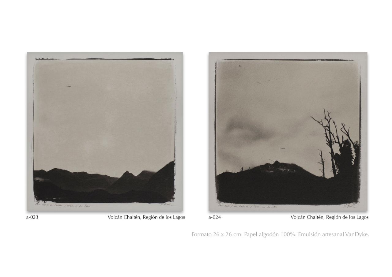 Vista previa del archivo PDF catalogo2024.pdf