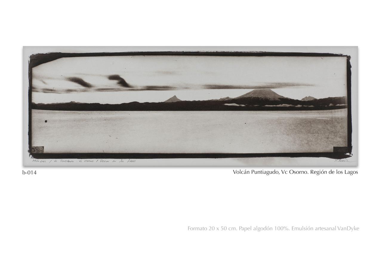 Vista previa del archivo PDF catalogo2024.pdf