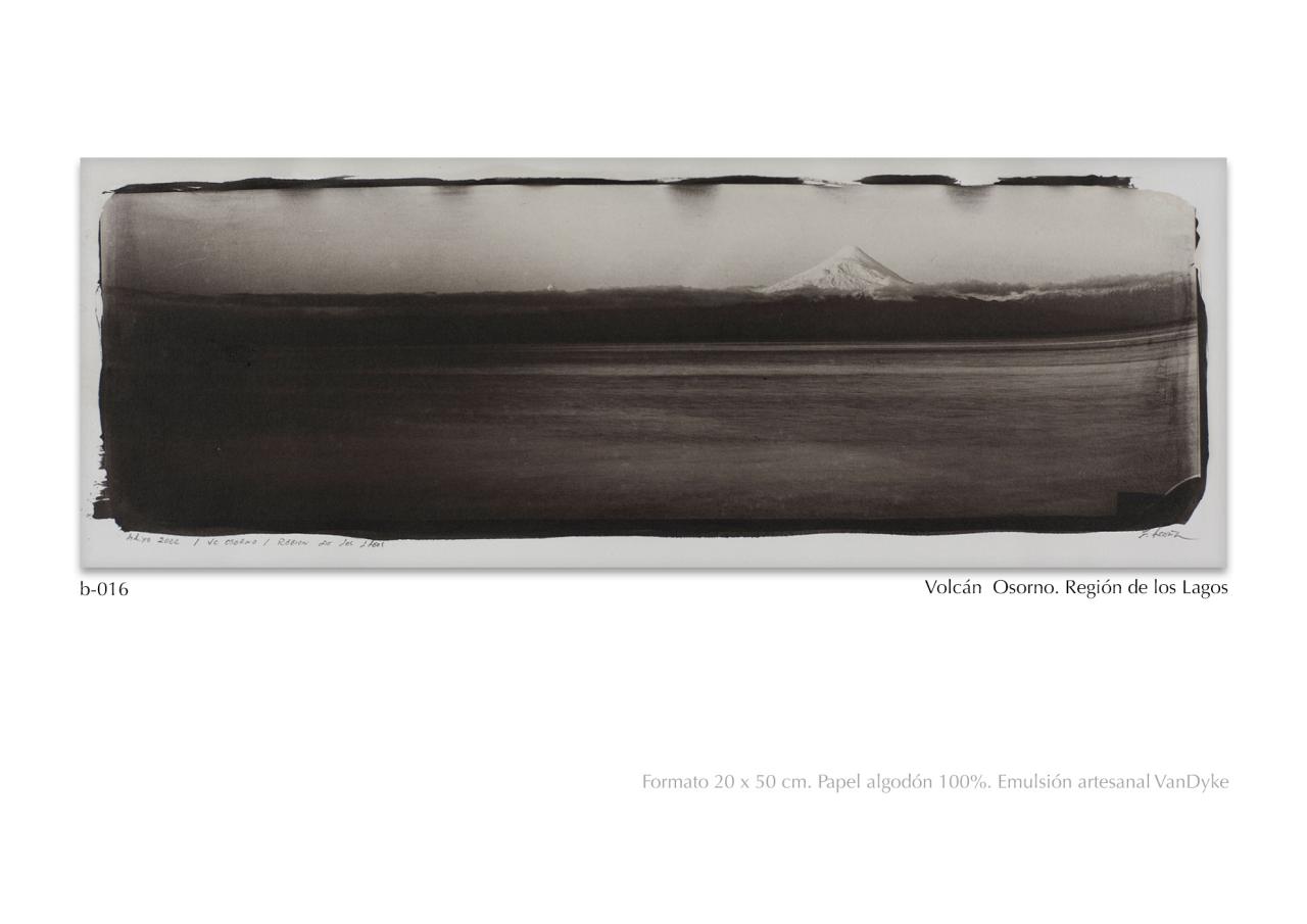 Vista previa del archivo PDF catalogo2024.pdf