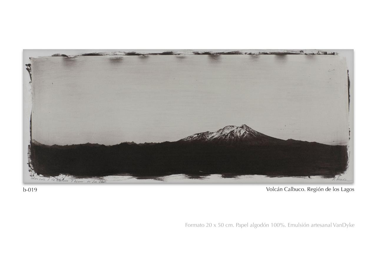 Vista previa del archivo PDF catalogo2024.pdf