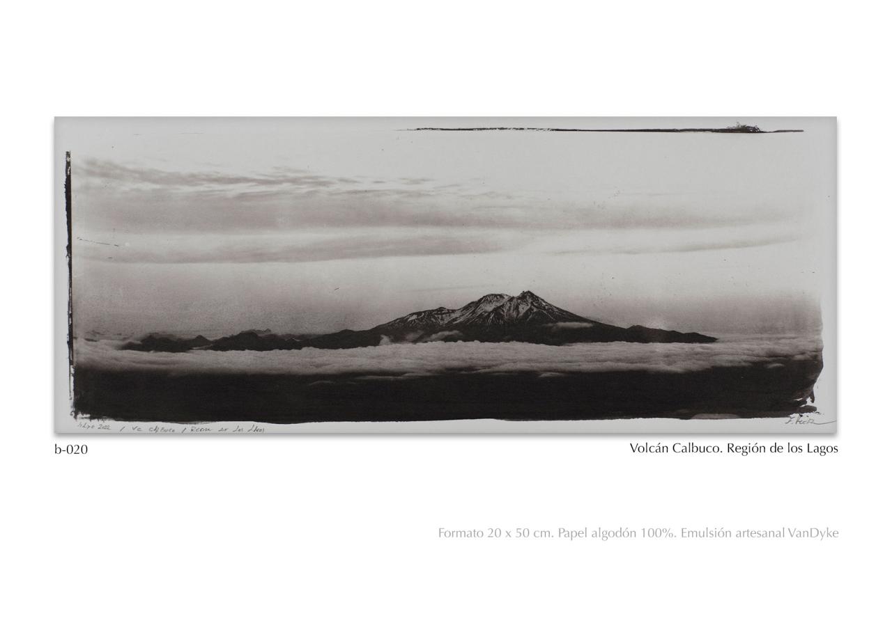 Vista previa del archivo PDF catalogo2024.pdf