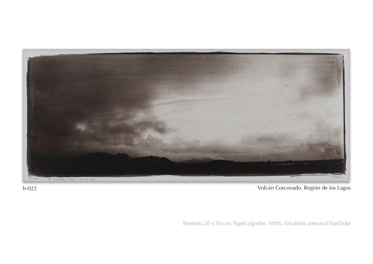 Vista previa del archivo PDF catalogo2024.pdf