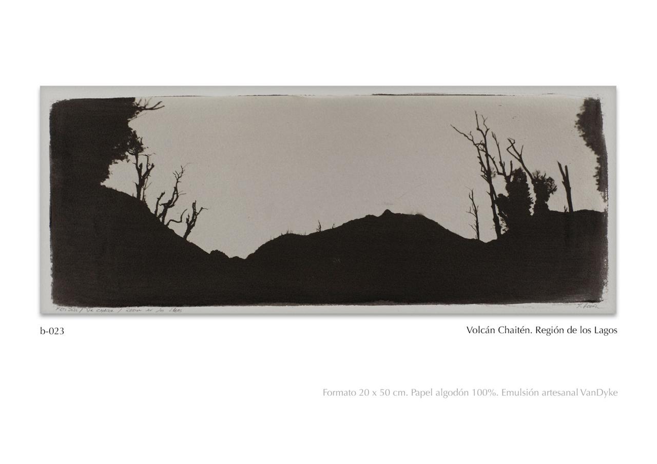 Vista previa del archivo PDF catalogo2024.pdf