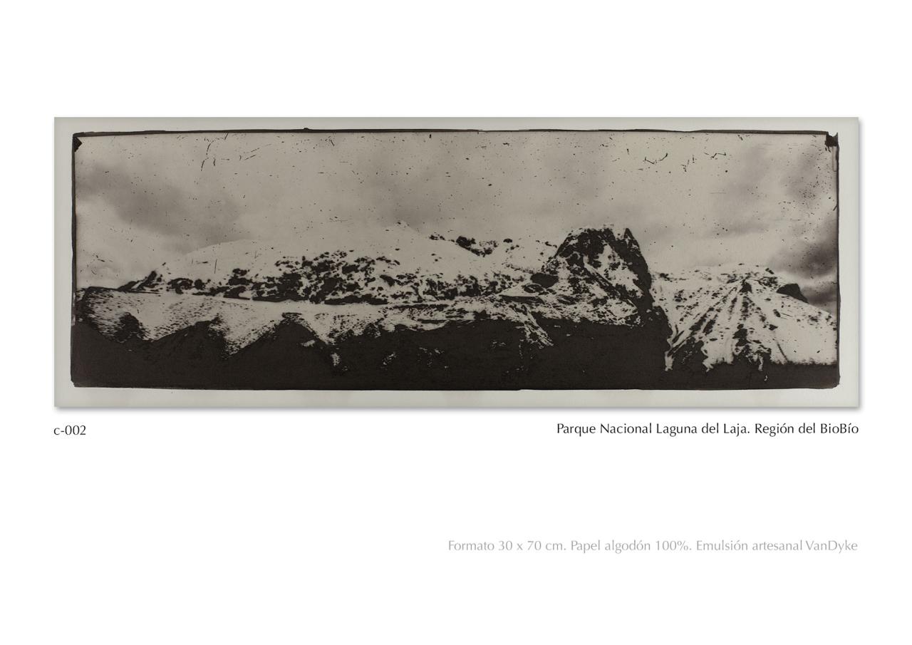 Vista previa del archivo PDF catalogo2024.pdf