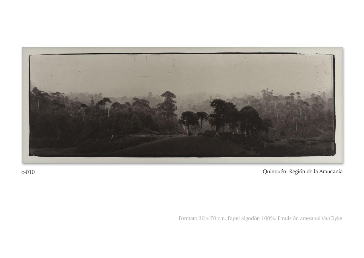 Vista previa del archivo PDF catalogo2024.pdf