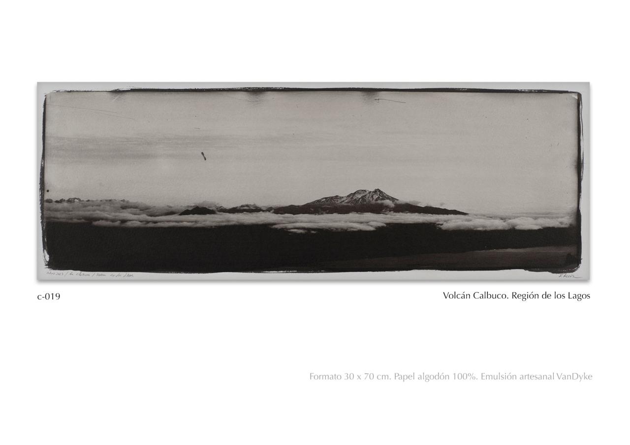 Vista previa del archivo PDF catalogo2024.pdf