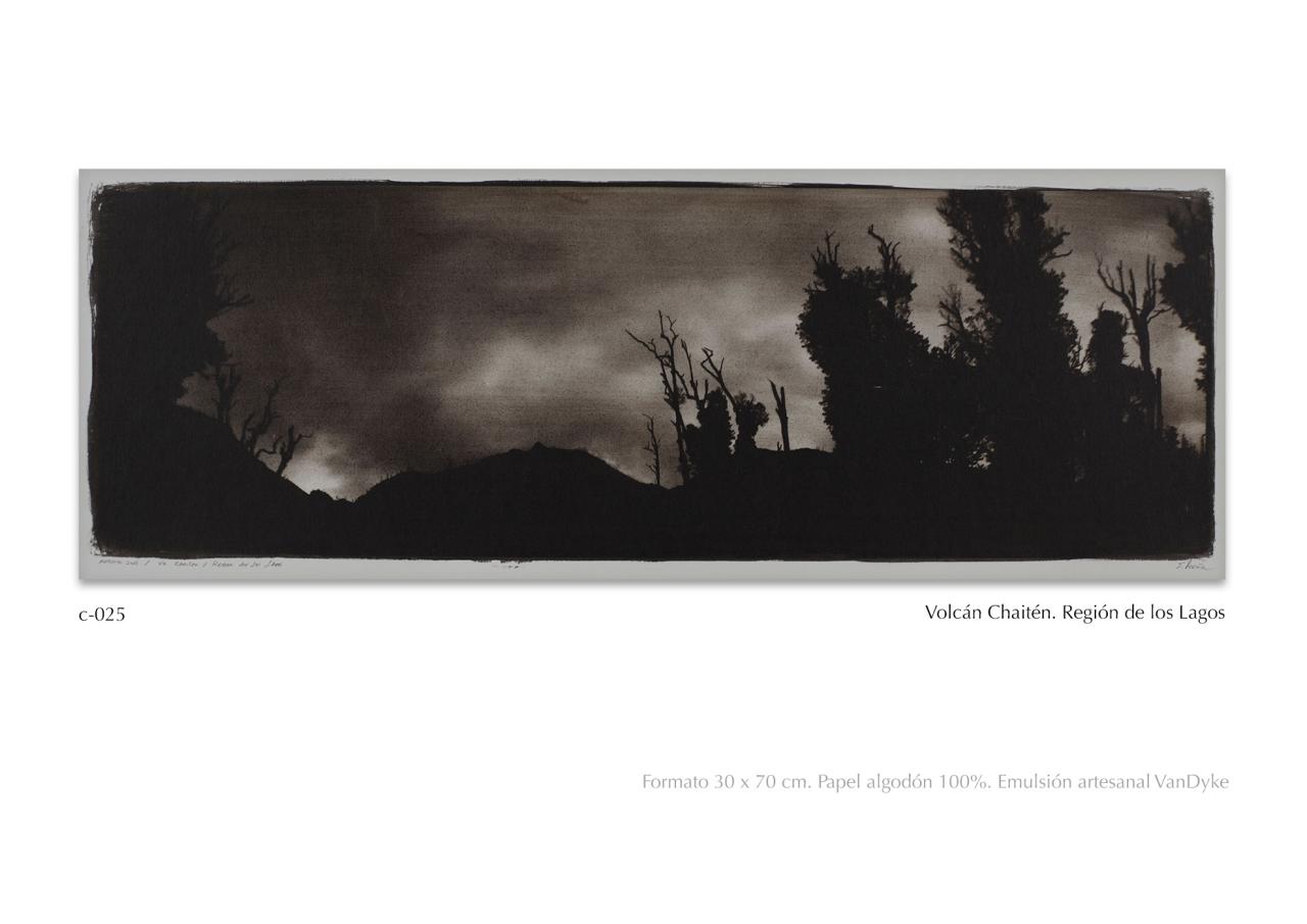 Vista previa del archivo PDF catalogo2024.pdf