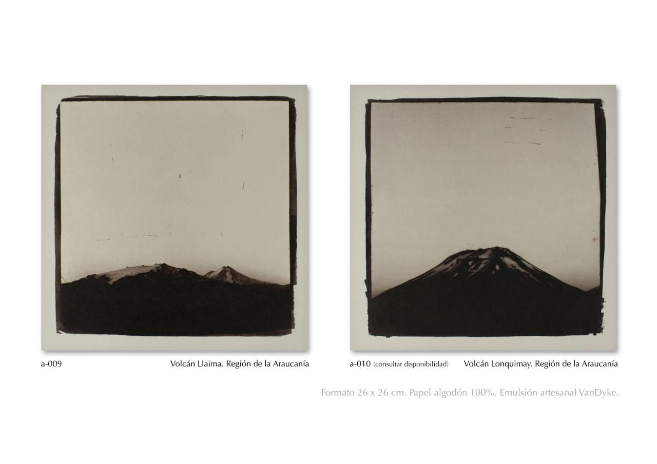 Vista previa del archivo PDF catalogo2024.pdf