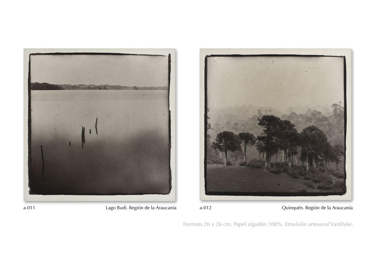 Vista previa del archivo PDF catalogo2024.pdf