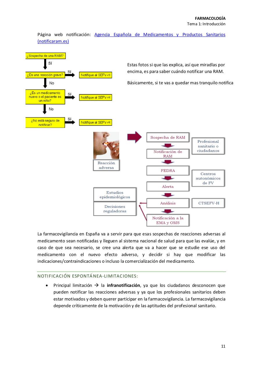 Vista previa del archivo PDF tema01.pdf