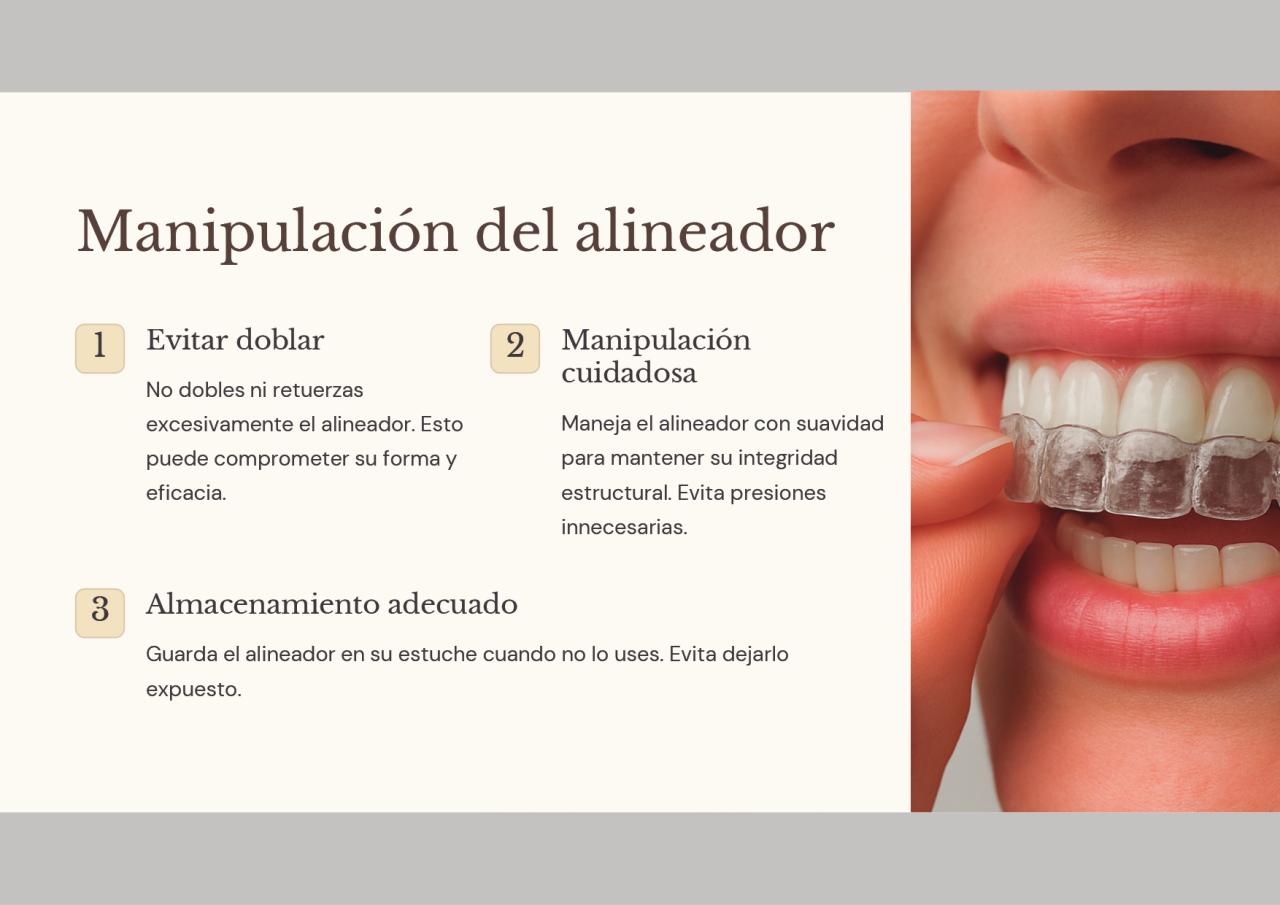 Vista previa del archivo PDF alinea.pdf