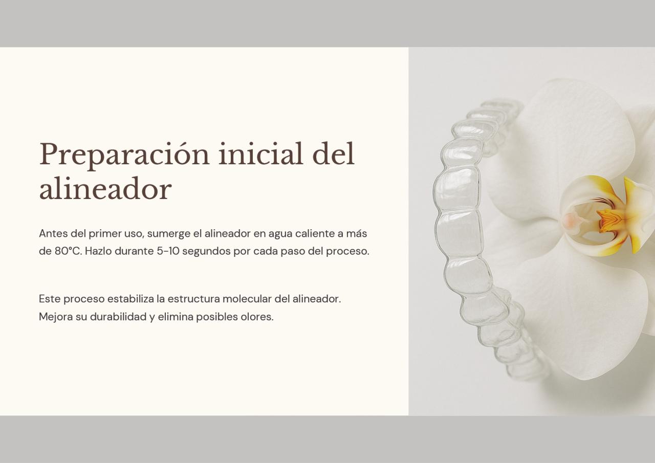 Vista previa del archivo PDF alinea.pdf