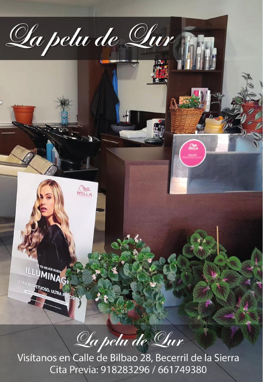 Vista previa del archivo PDF programafiestas202592pagv12.pdf