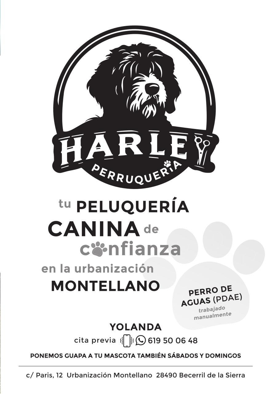 Vista previa del archivo PDF programafiestas202592pagv12.pdf