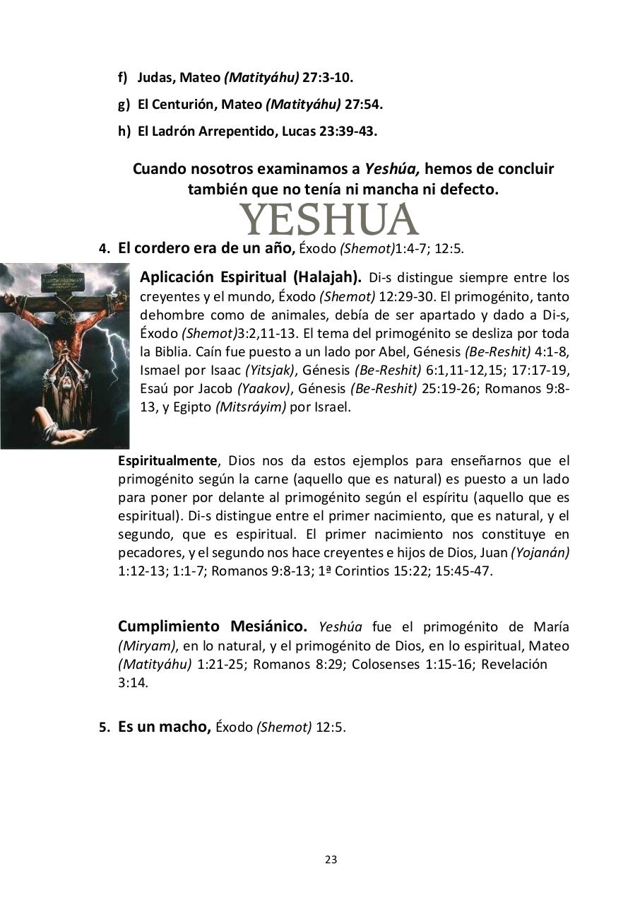 Vista previa del archivo PDF -las-siete-fiestas-del-seor---edward-chumney-.pdf
