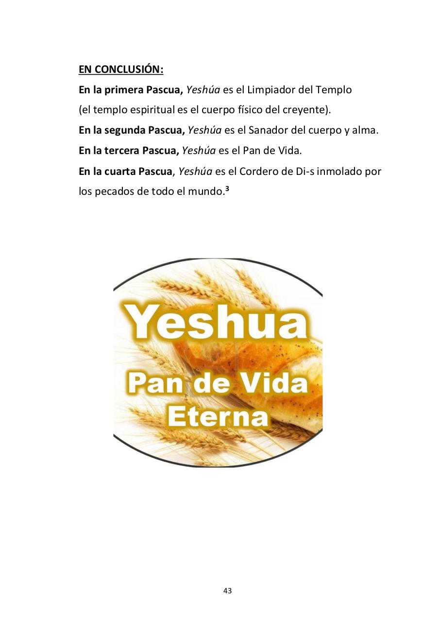 Vista previa del archivo PDF -las-siete-fiestas-del-seor---edward-chumney-.pdf