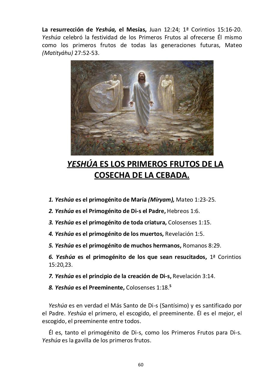 Vista previa del archivo PDF -las-siete-fiestas-del-seor---edward-chumney-.pdf