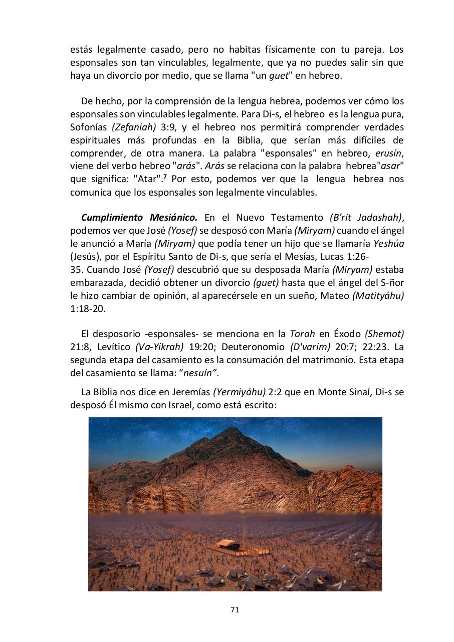 Vista previa del archivo PDF -las-siete-fiestas-del-seor---edward-chumney-.pdf