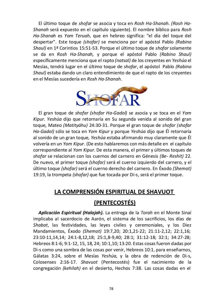 Vista previa del archivo PDF -las-siete-fiestas-del-seor---edward-chumney-.pdf