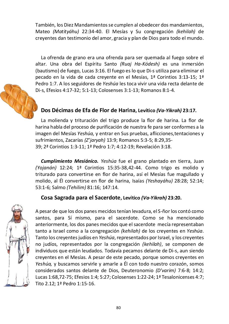 Vista previa del archivo PDF -las-siete-fiestas-del-seor---edward-chumney-.pdf