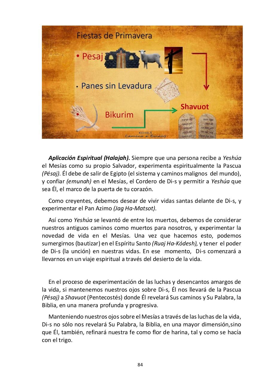 Vista previa del archivo PDF -las-siete-fiestas-del-seor---edward-chumney-.pdf