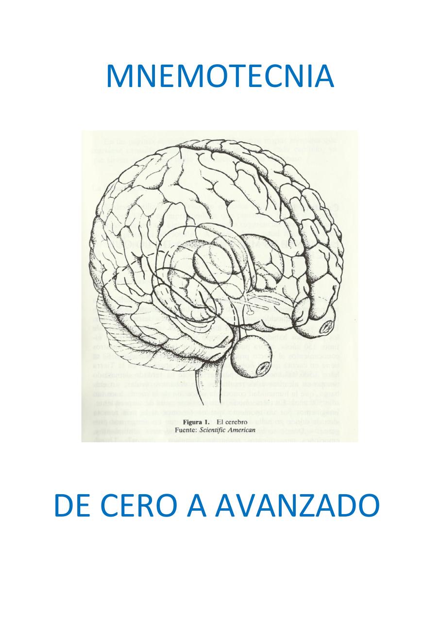 MNEMOTECNIA DE CERO A AVANZADO RENOVADO.pdf - página 1/995