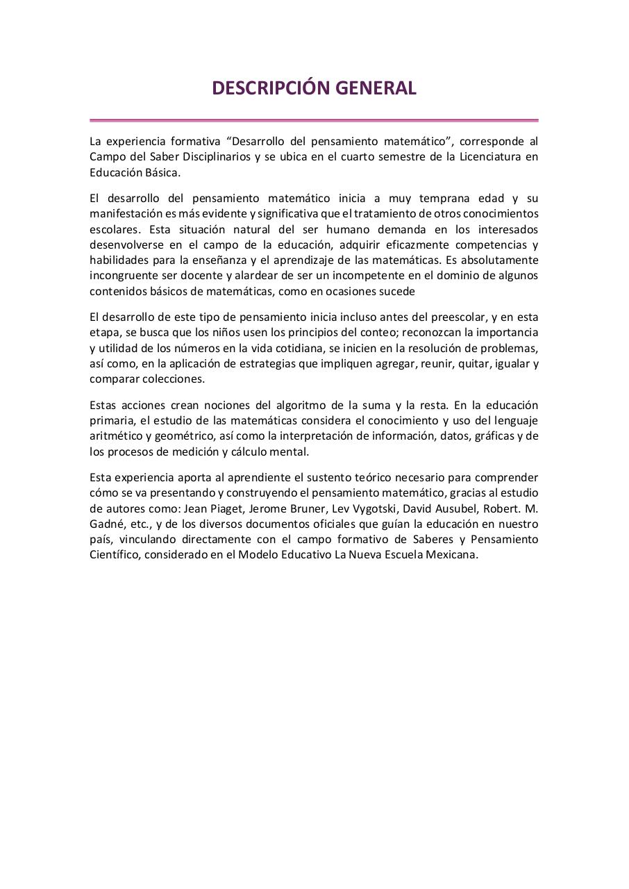 Vista previa del archivo PDF desarrollo-del-pensamiento-matematico-2026.pdf