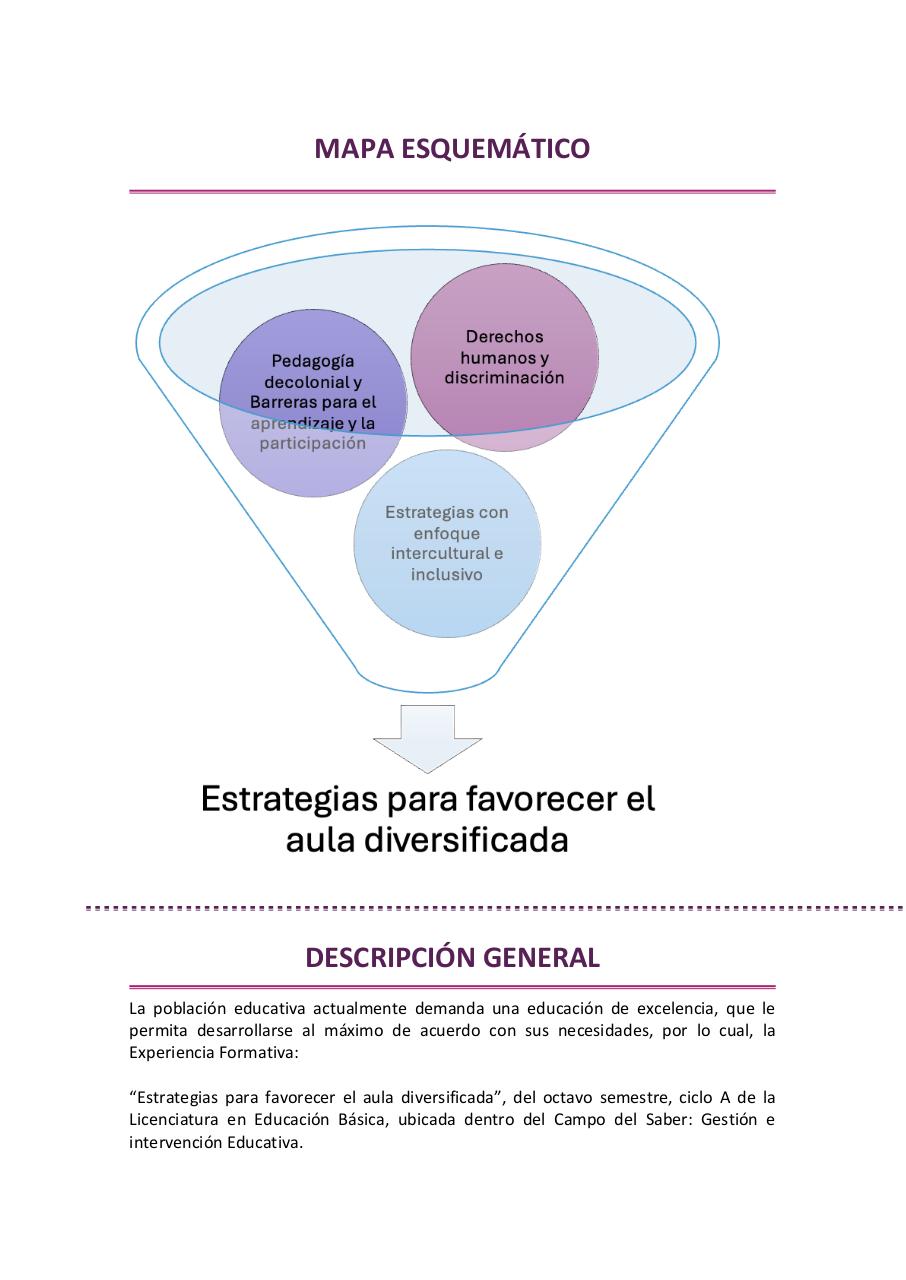 Vista previa del archivo PDF estrategias-para-favorecer-el-aula-diversificada-2026.pdf