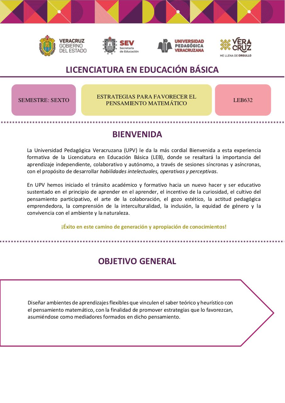 Estrategias para favorecer el pensamiento matematico 2026.pdf - página 1/42