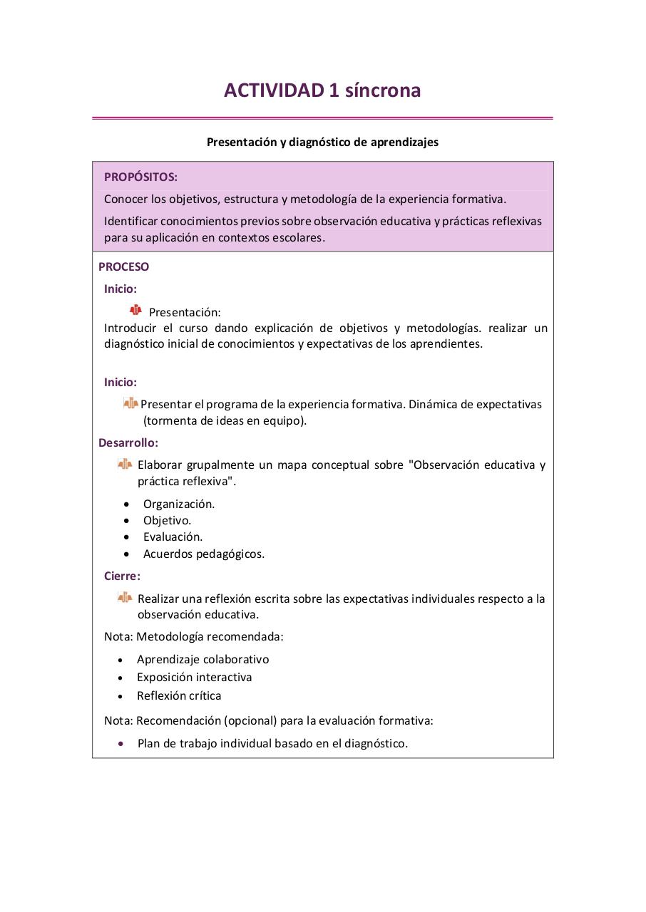 Vista previa del archivo PDF observacion-y-practica-reflexiva-ii-2026.pdf