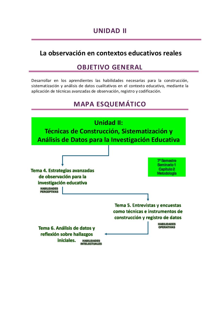 Vista previa del archivo PDF observacion-y-practica-reflexiva-ii-2026.pdf