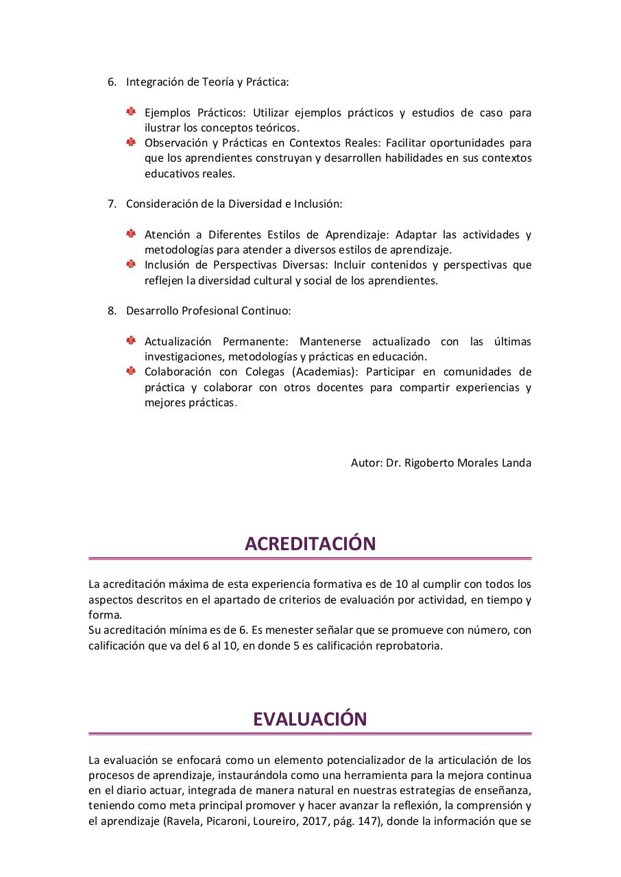Vista previa del archivo PDF observacion-y-practica-reflexiva-ii-2026.pdf
