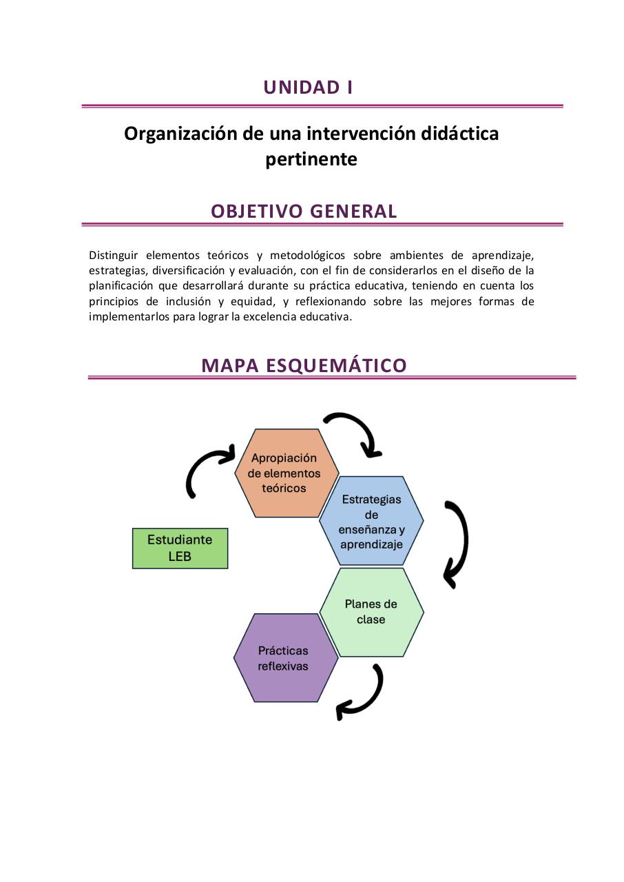 Vista previa del archivo PDF observacion-y-practica-reflexiva-iv-2026.pdf