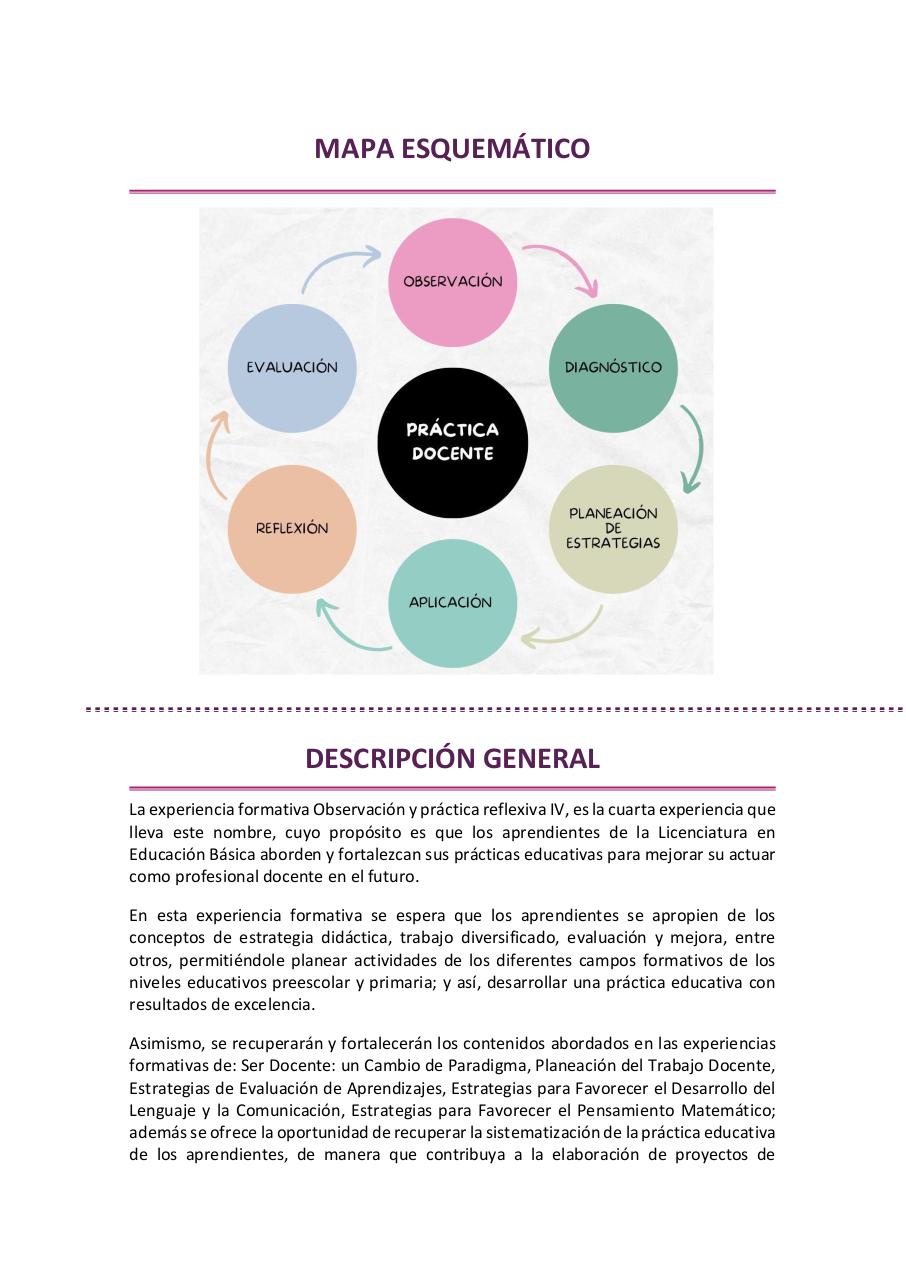 Vista previa del archivo PDF observacion-y-practica-reflexiva-iv-2026.pdf