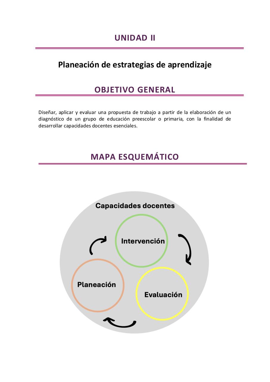 Vista previa del archivo PDF observacion-y-practica-reflexiva-iv-2026.pdf