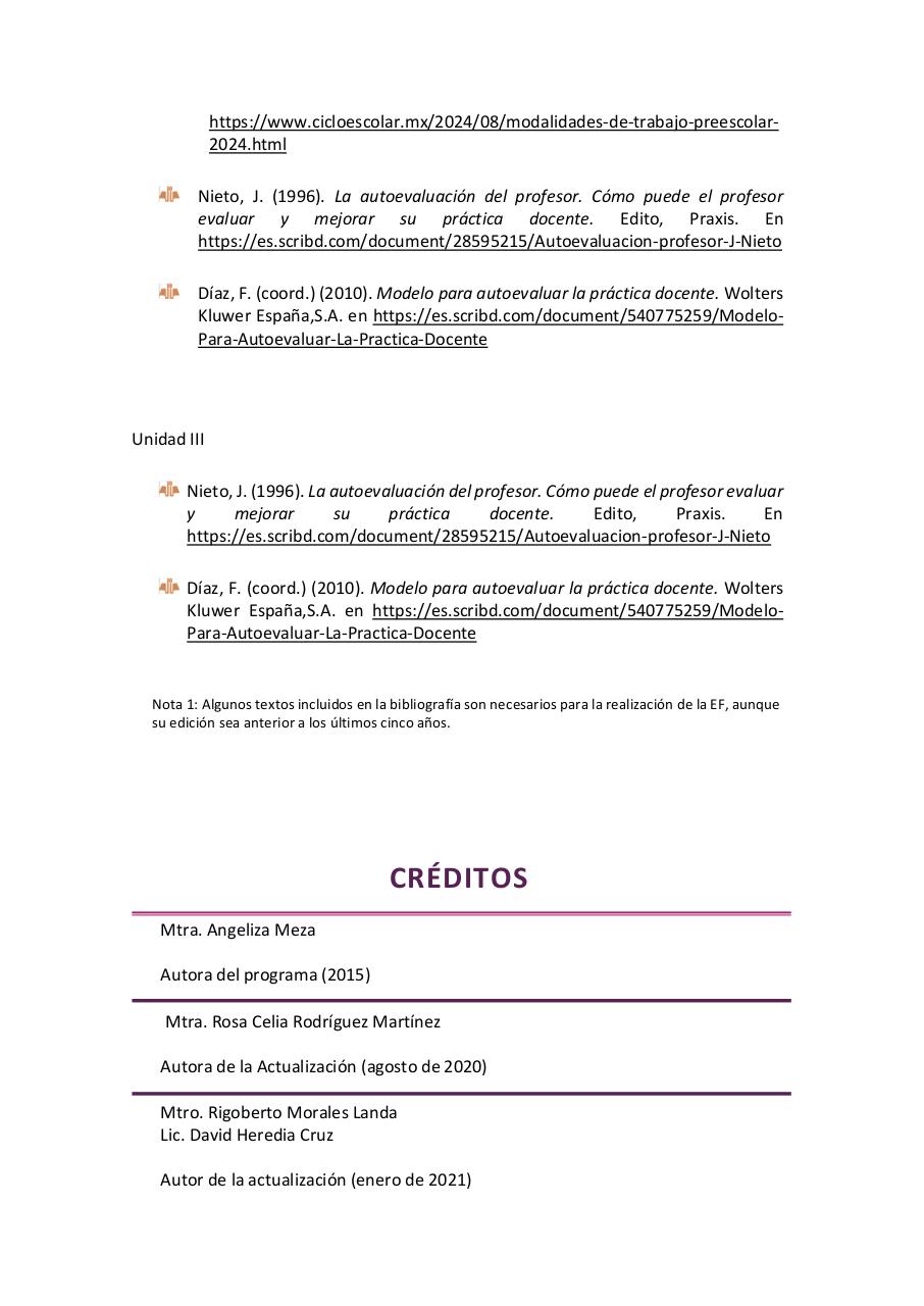 Vista previa del archivo PDF observacion-y-practica-reflexiva-iv-2026.pdf