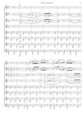 116 - Orgullo Santiaguista - Ignacio Chanchez Navarro - Set of Clarinets.pdf - página 4/30
